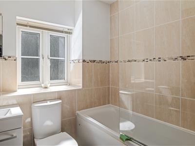 Picture 19